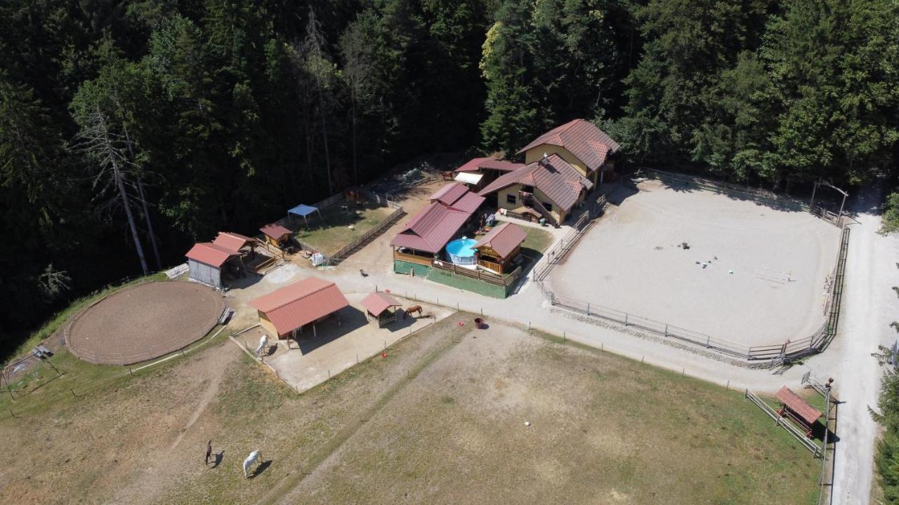 Vineyard Paradise Senica Dramlje Exterior photo