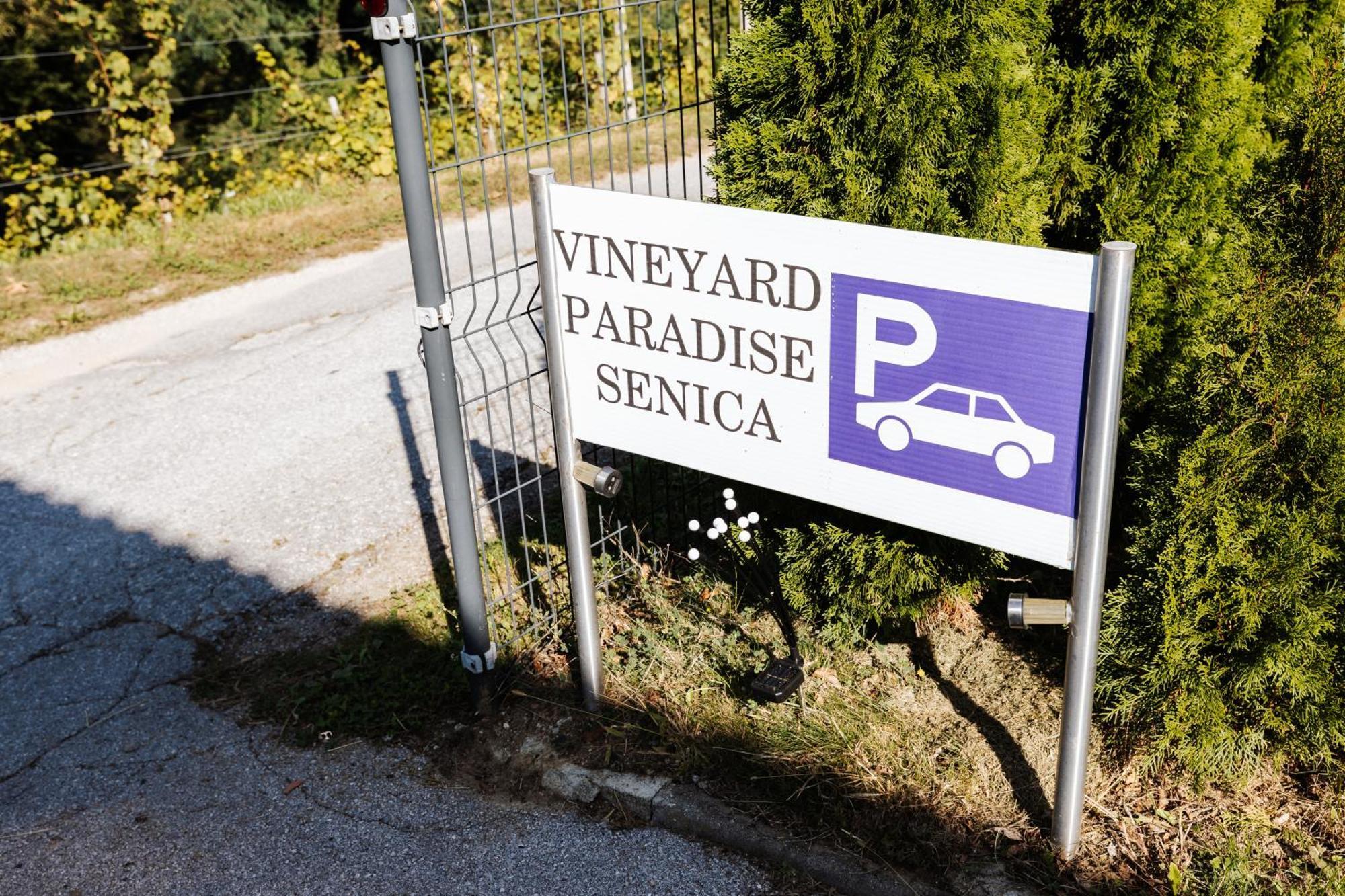 Vineyard Paradise Senica Dramlje Exterior photo