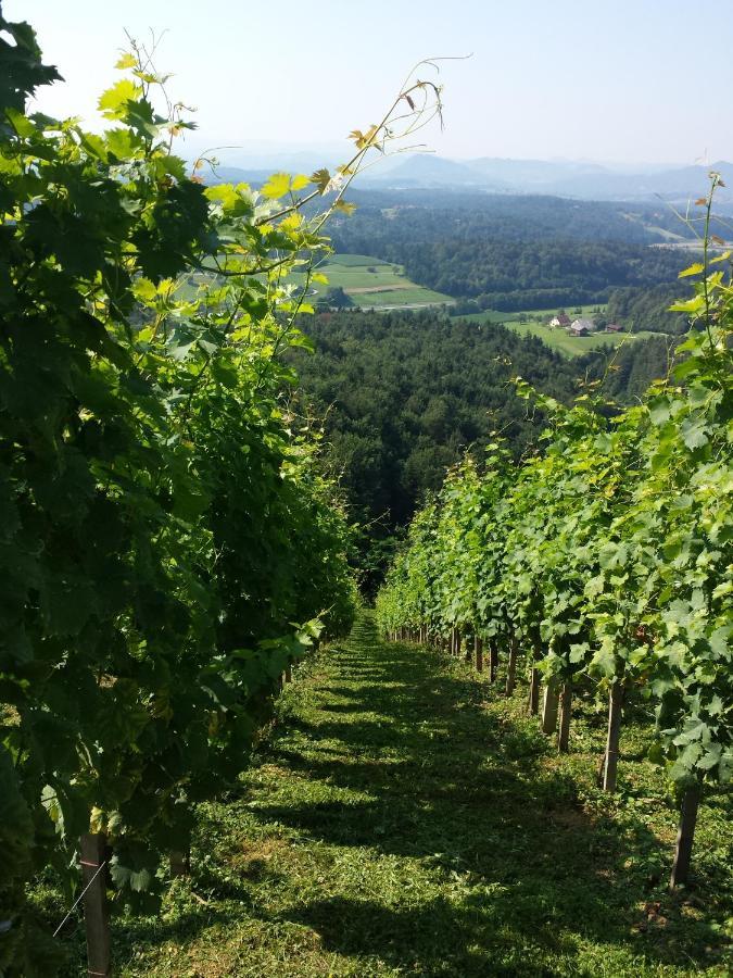 Vineyard Paradise Senica Dramlje Exterior photo